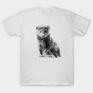 Dwarf mongoose T-Shirt